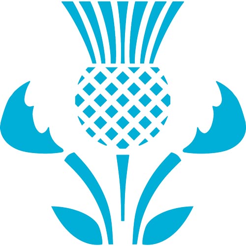 SAS Scotland Thistle
