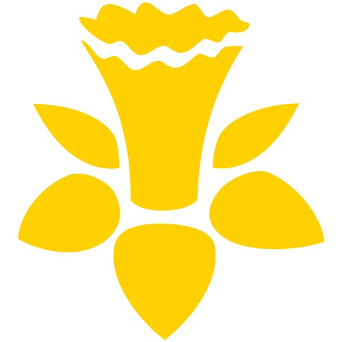 SAS Wales Daffodil